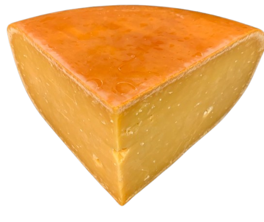 Gouda